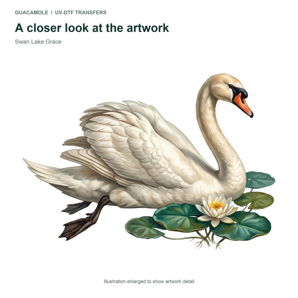 Swan Lake Grace — Artwork detail