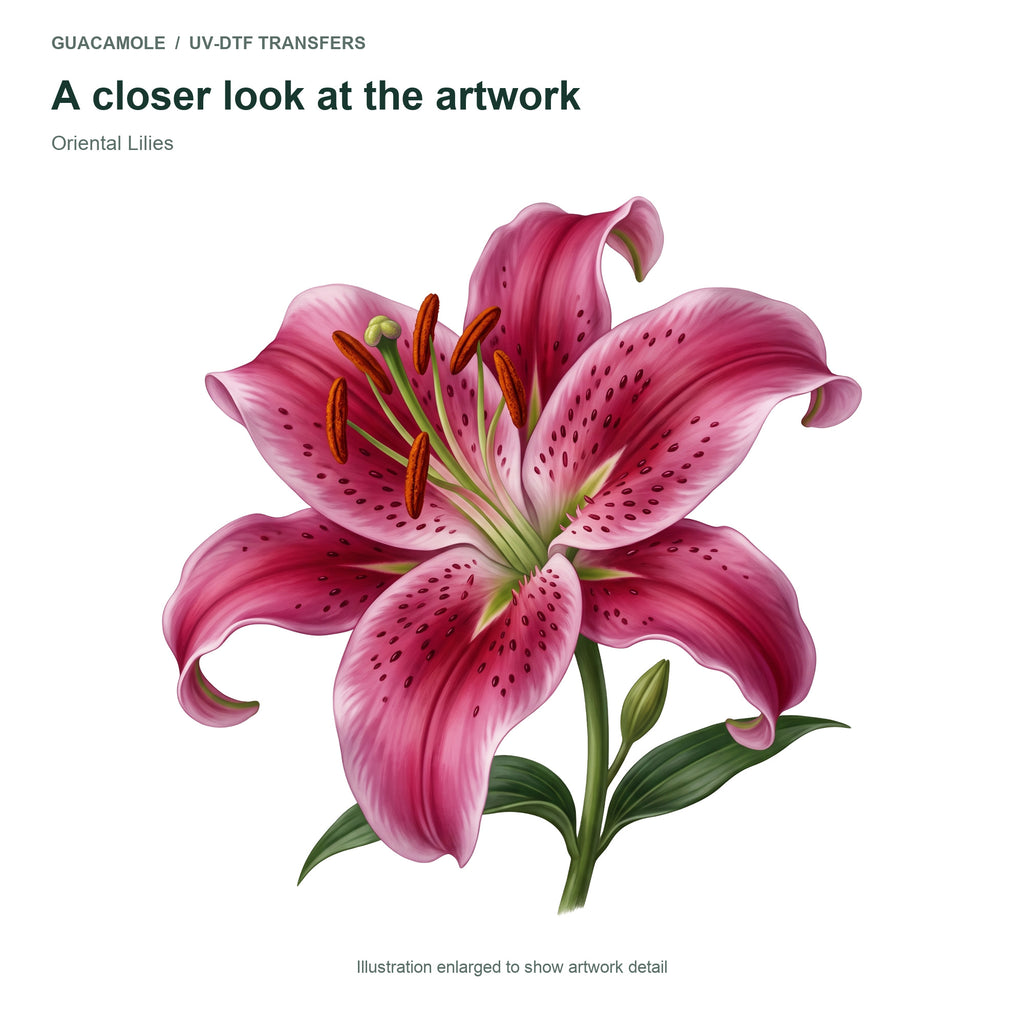 Oriental Lilies — Artwork detail