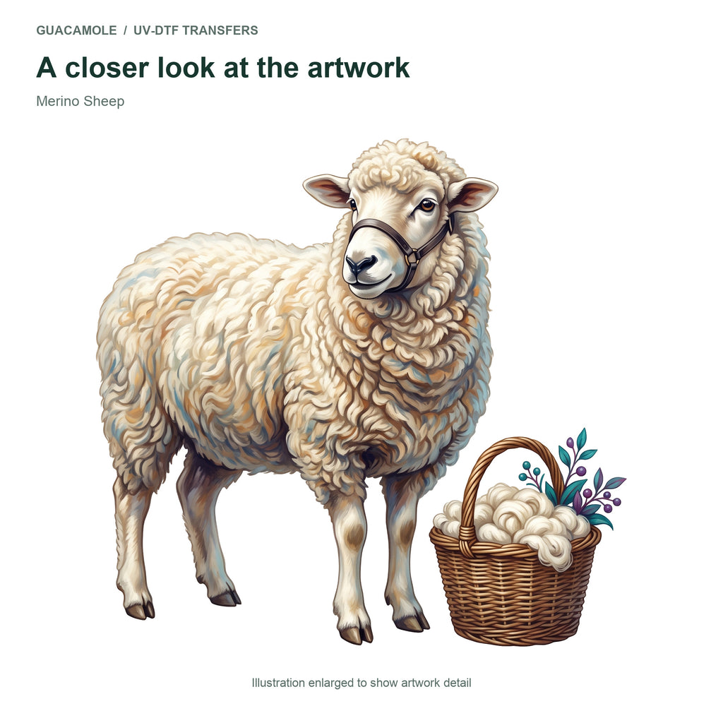 Merino Sheep — Artwork detail