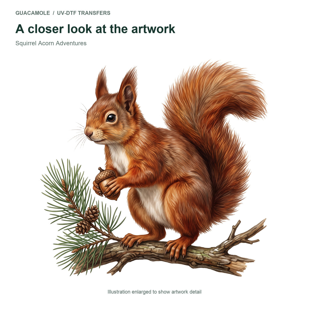 Squirrel Acorn Adventures — Artwork detail