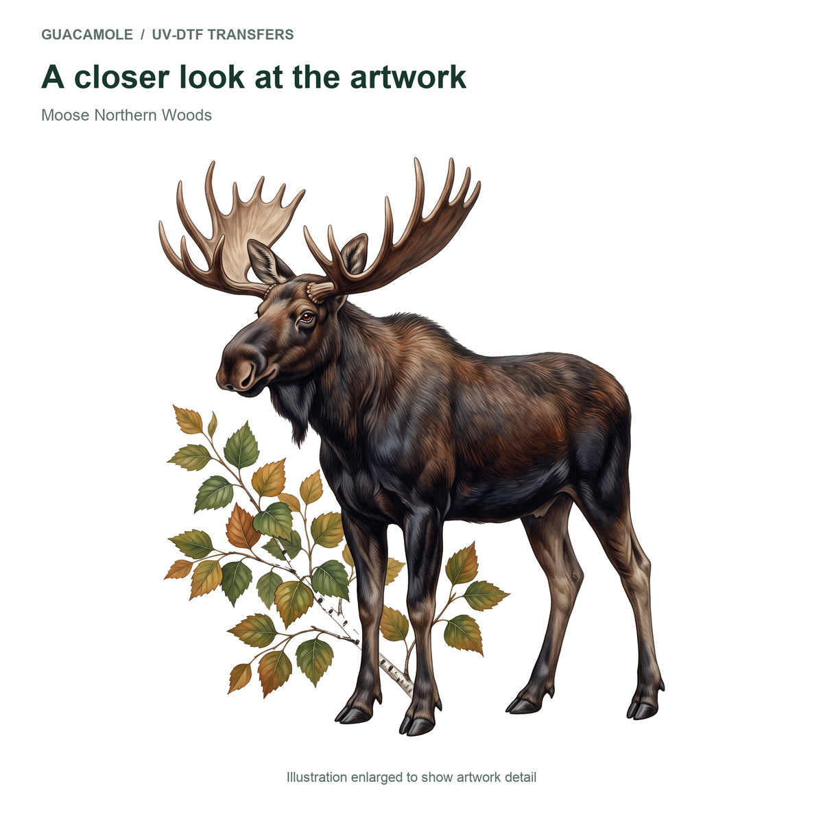 Moose Northern Woods — Artwork detail