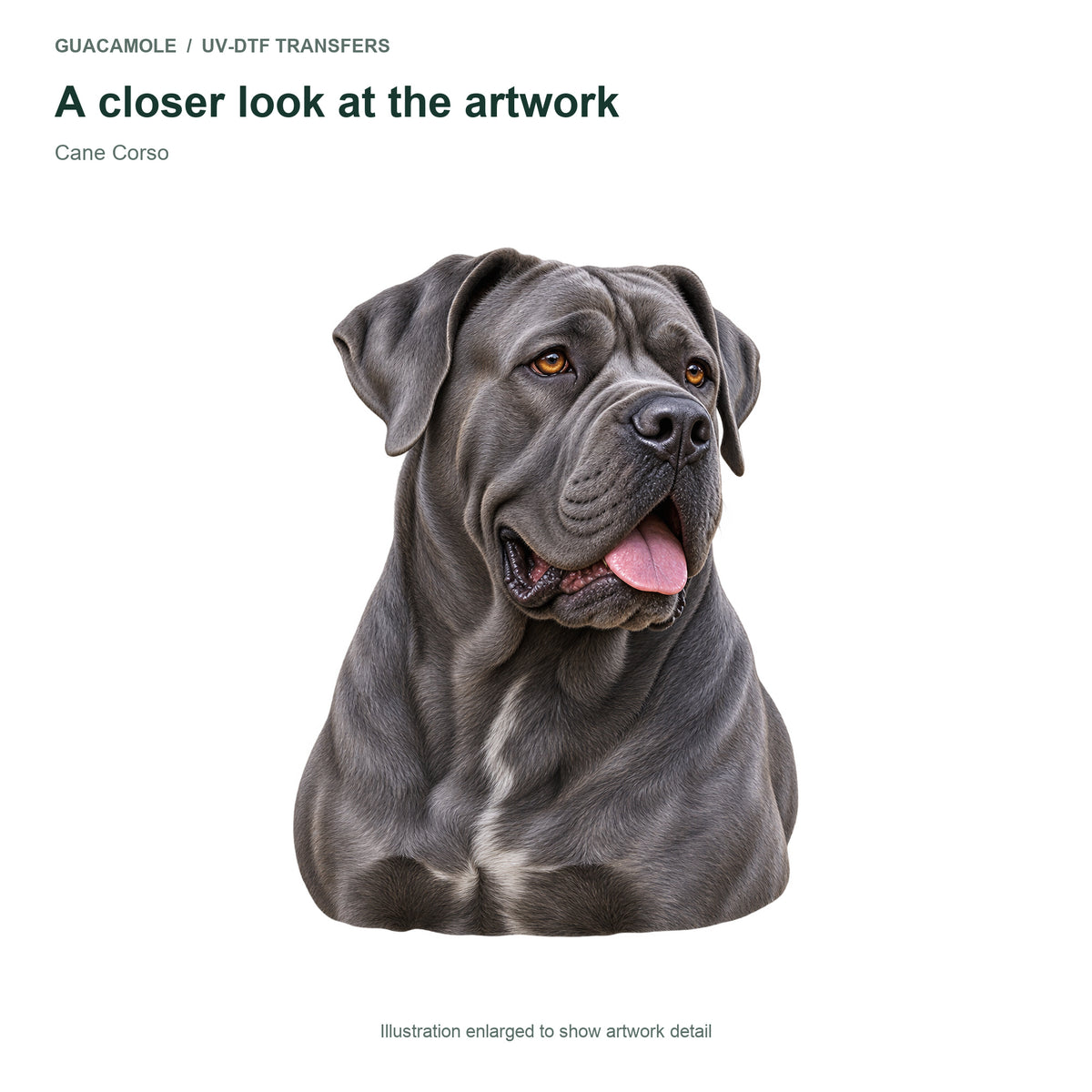 Cane Corso — Artwork detail