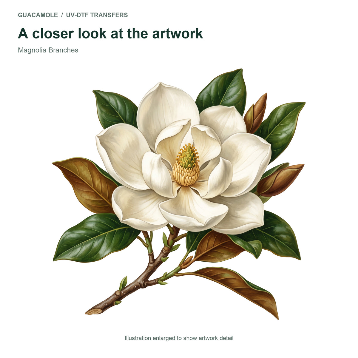Magnolia Branches — Artwork detail