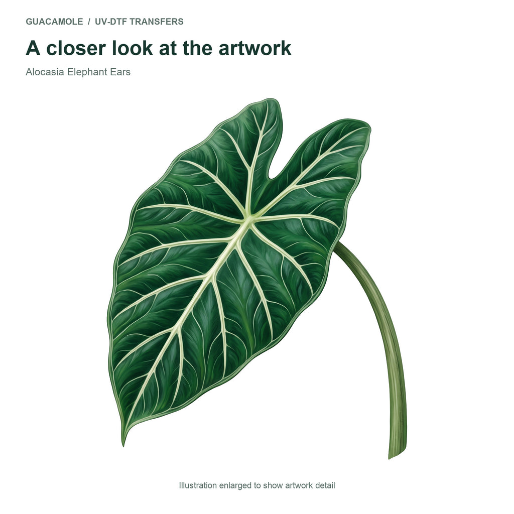 Alocasia Elephant Ears — Artwork detail