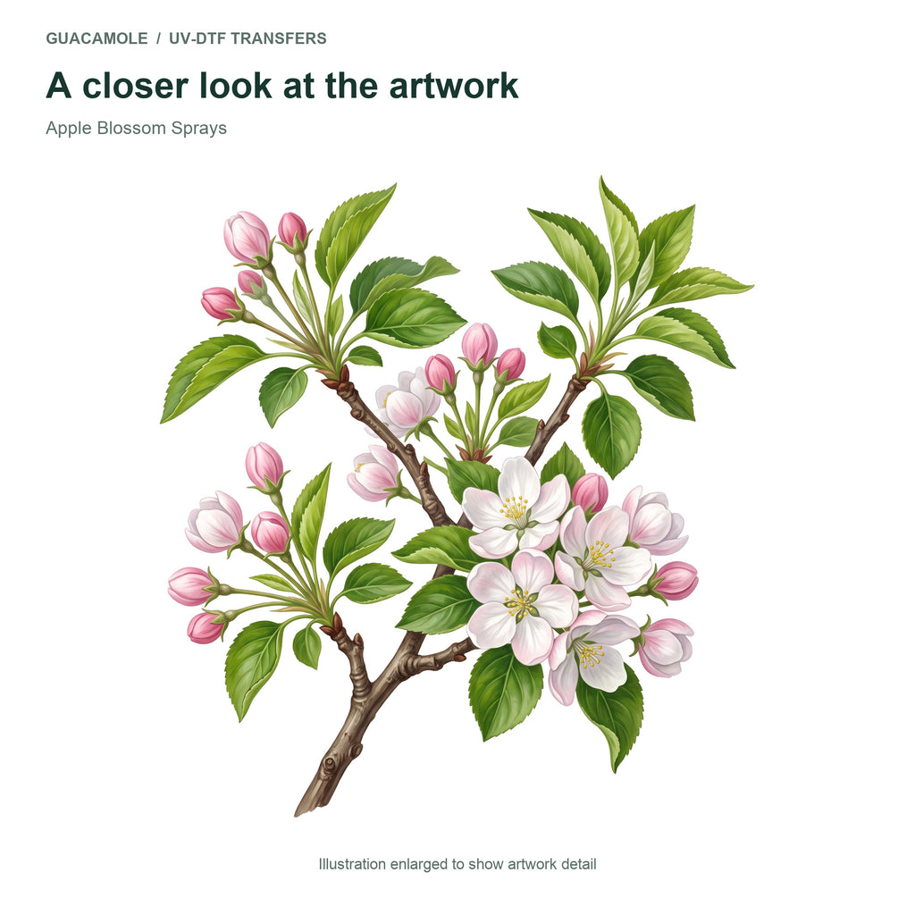 Apple Blossom Sprays — Artwork detail