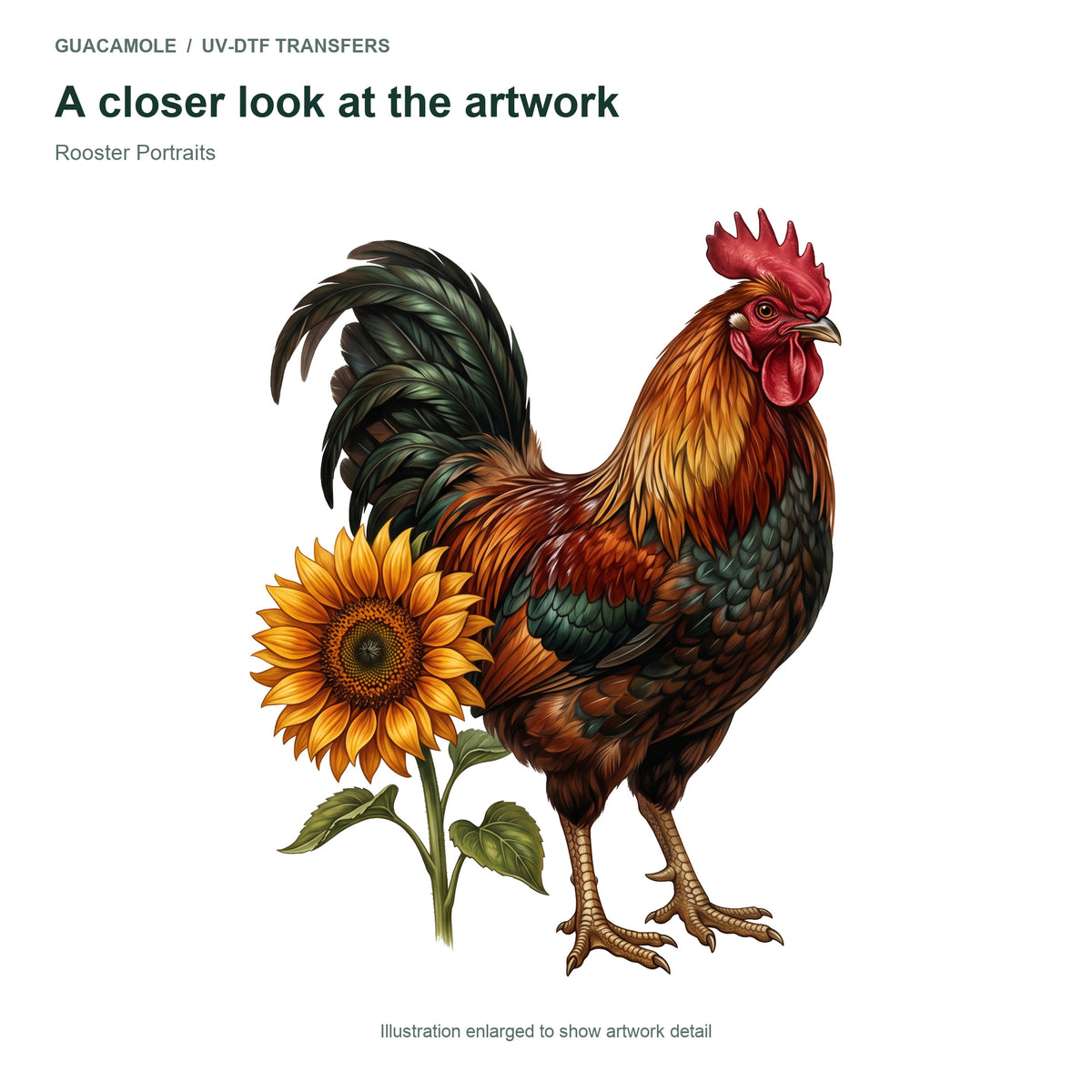 Rooster Portraits — Artwork detail