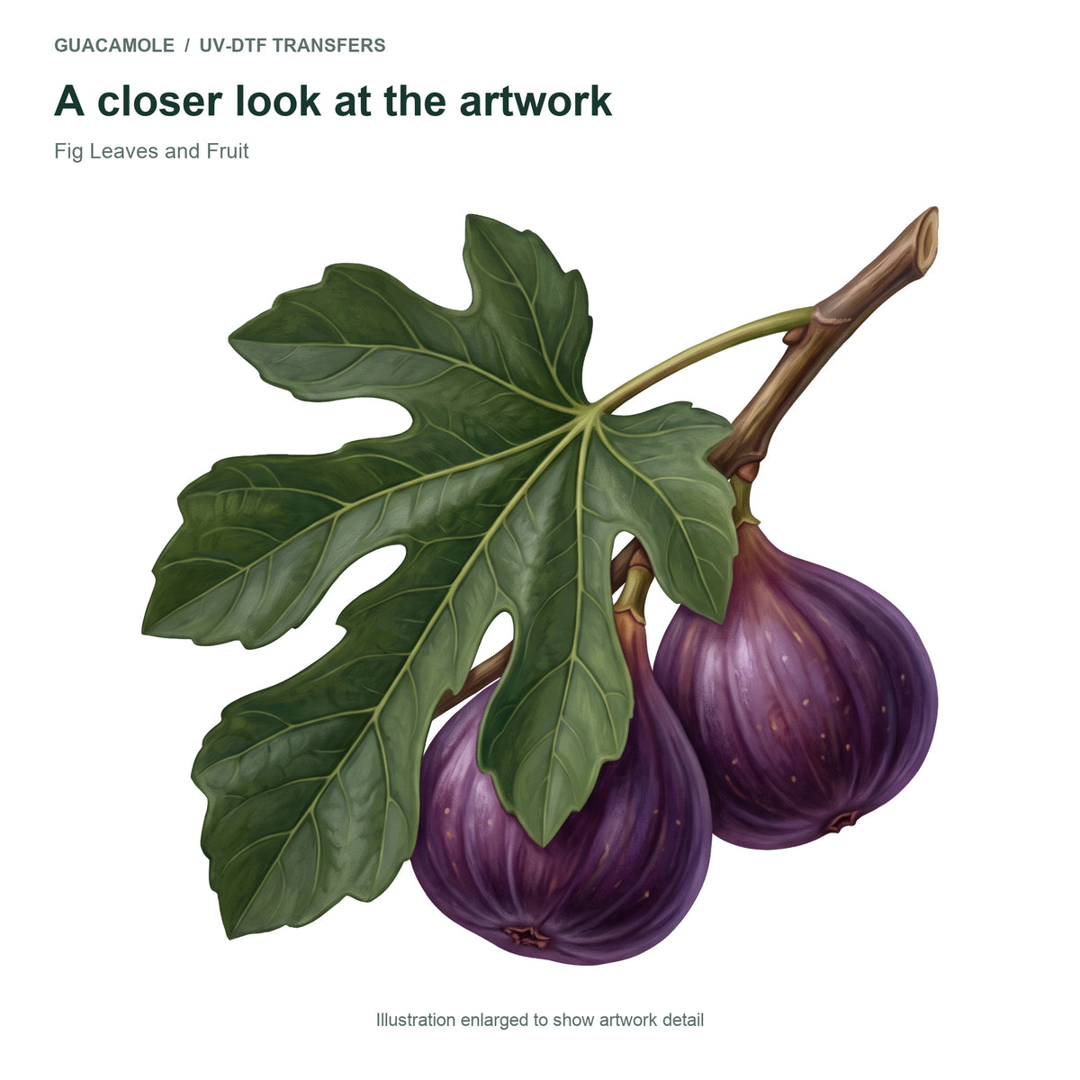 Fig Leaves and Fruit — Artwork detail