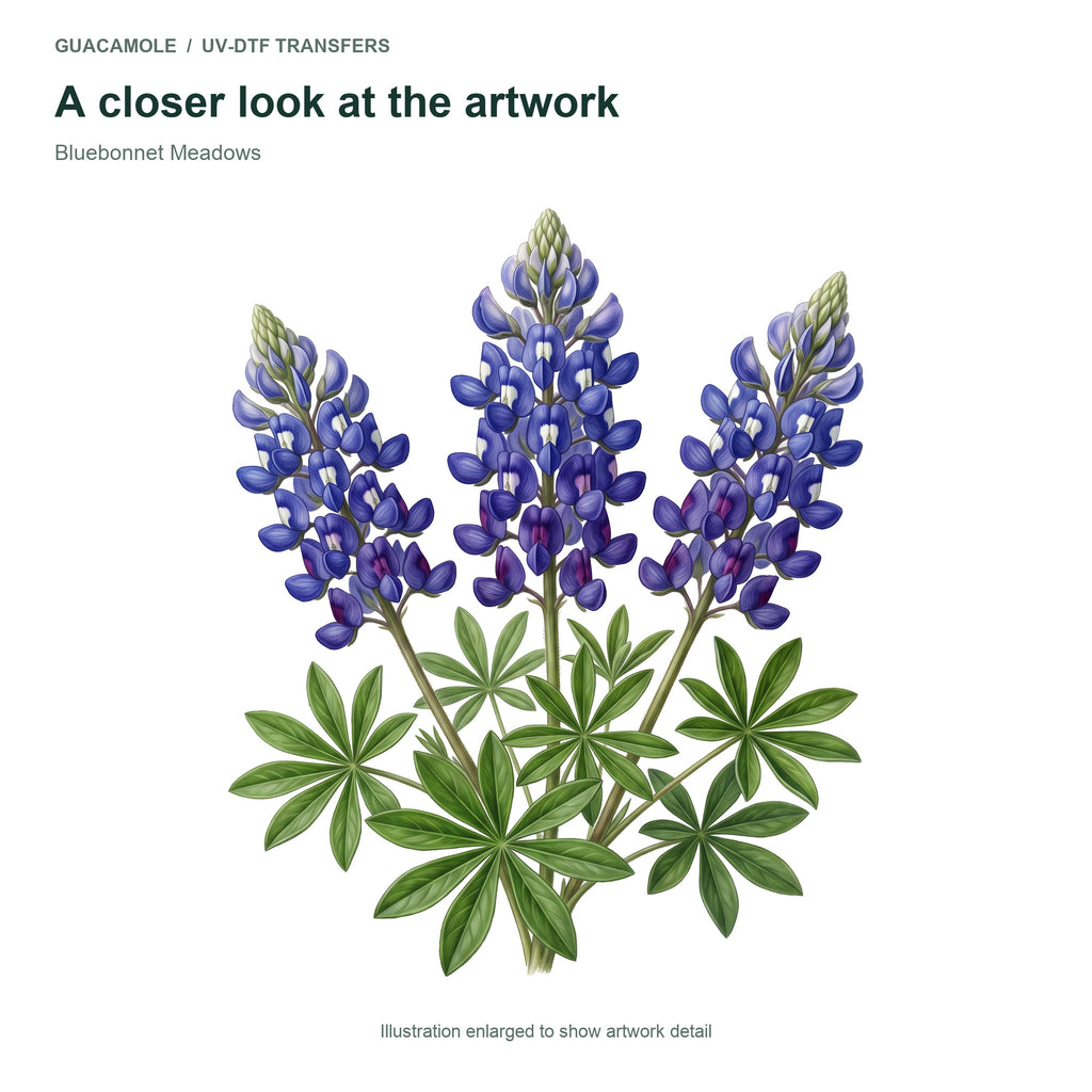Bluebonnet Meadows — Artwork detail