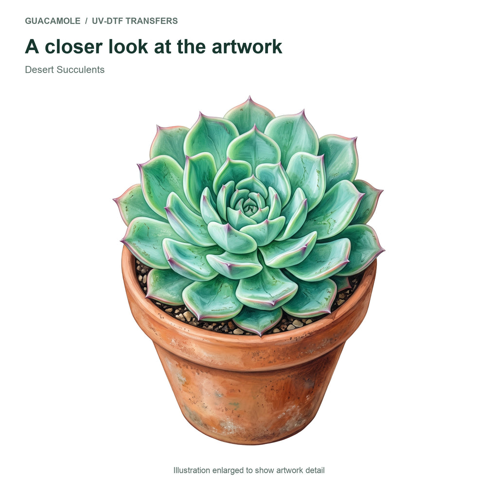 Desert Succulents — Artwork detail