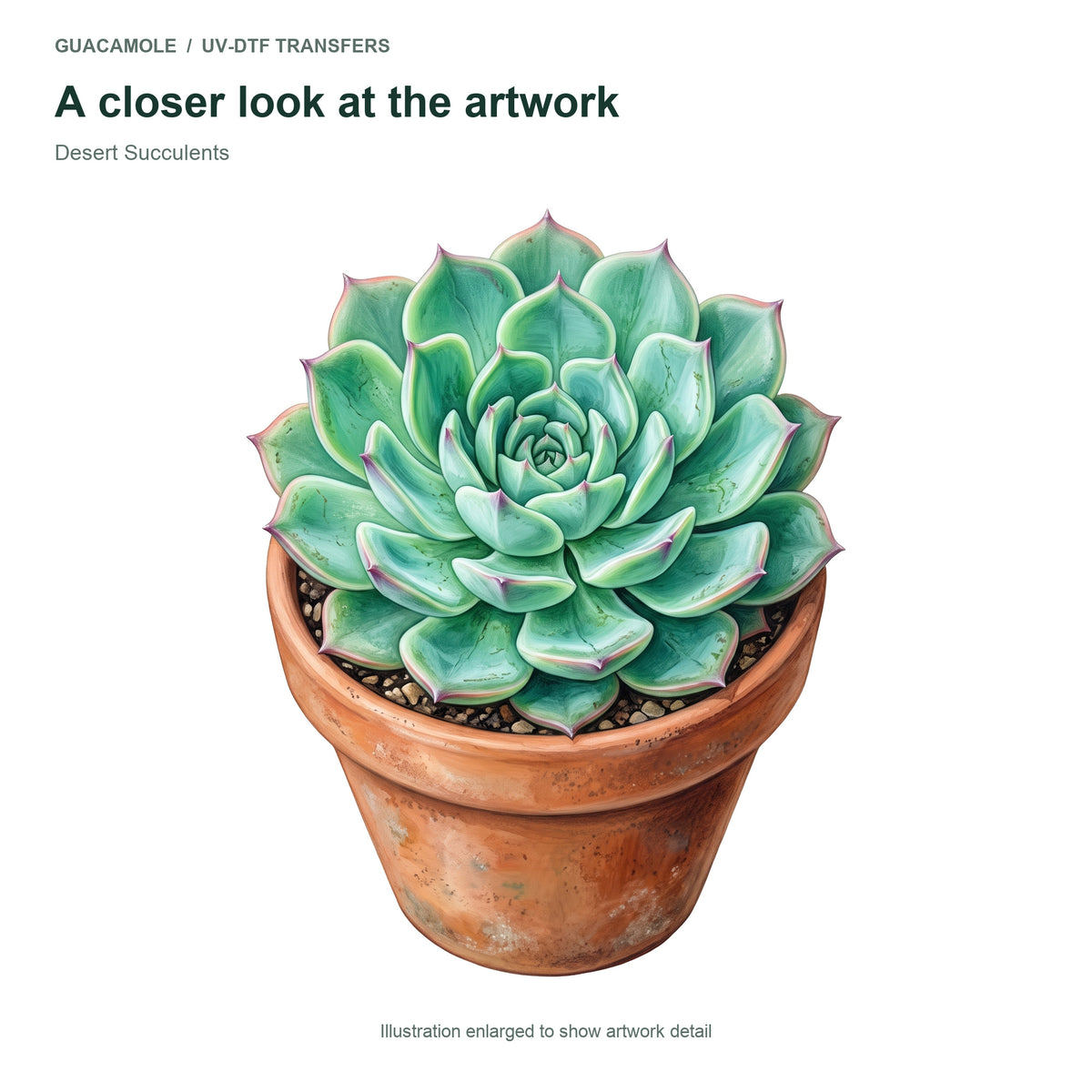 Desert Succulents — Artwork detail