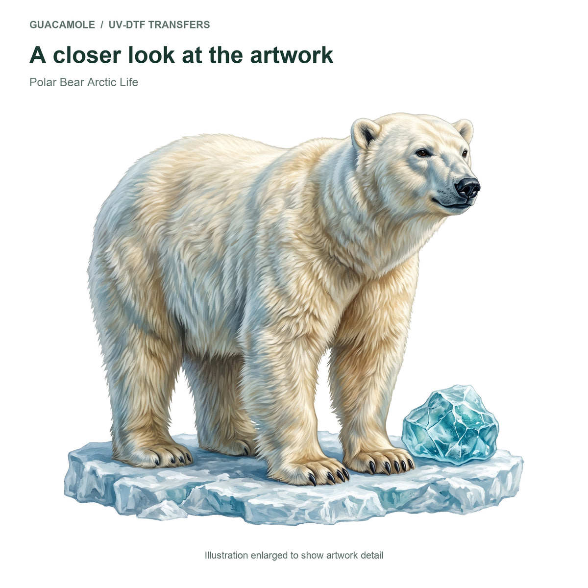Polar Bear Arctic Life — Artwork detail