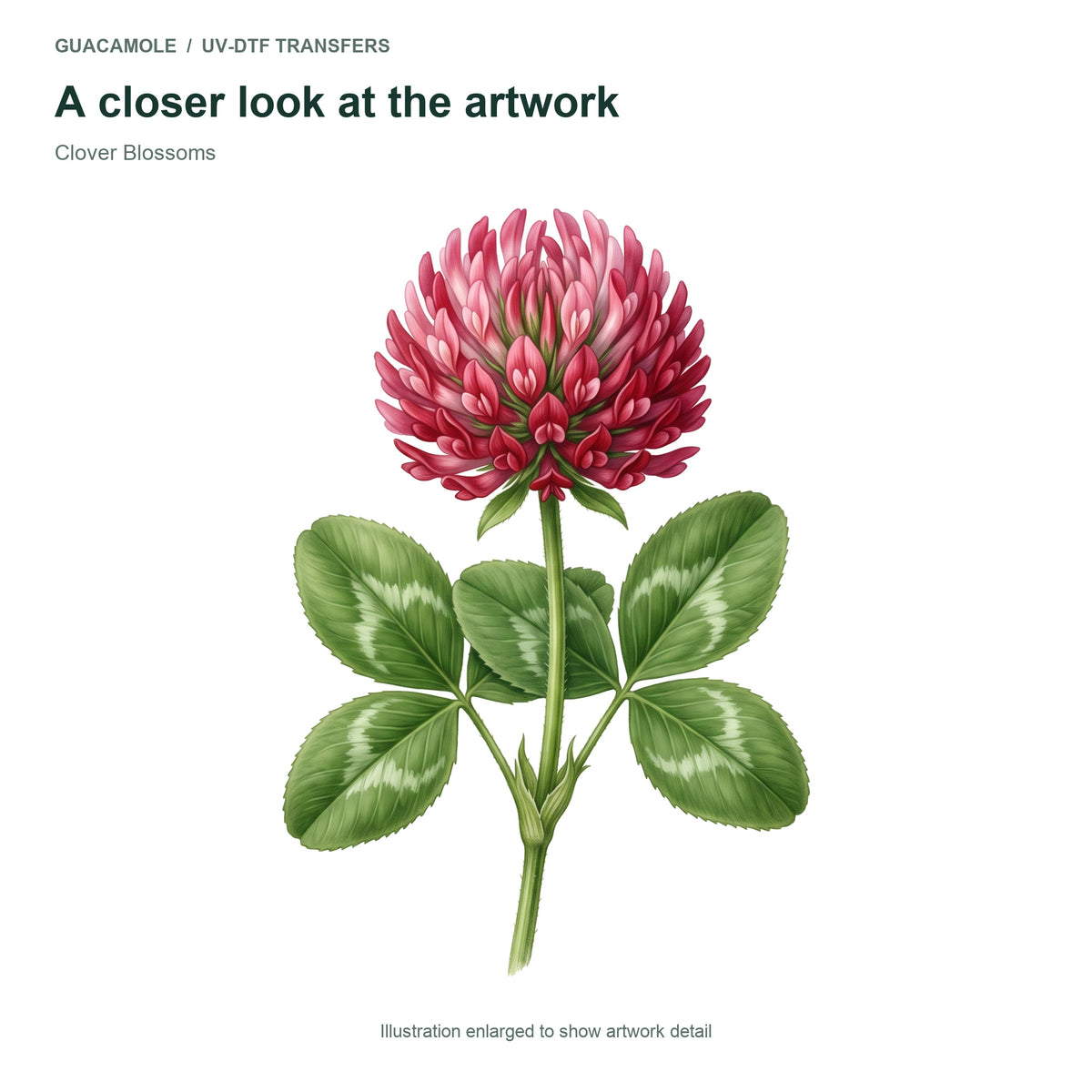 Clover Blossoms — Artwork detail
