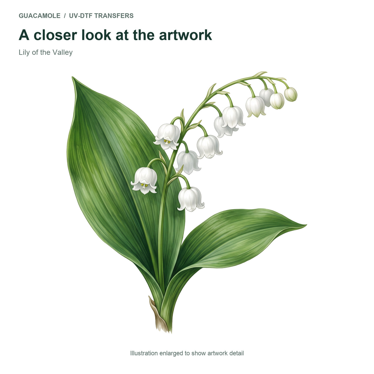 Lily of the Valley — Artwork detail
