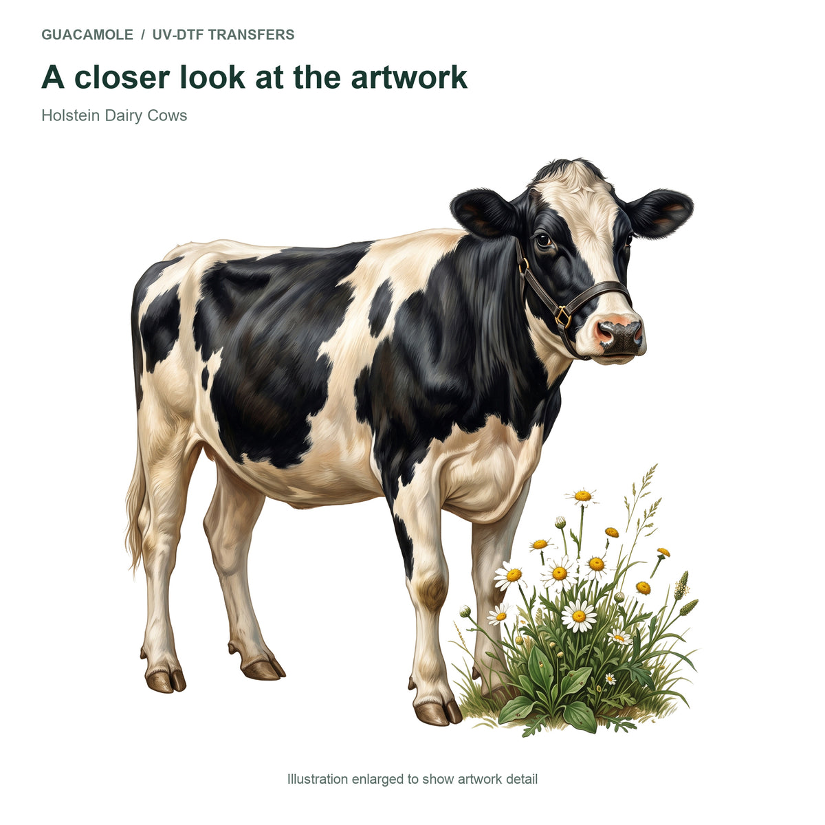 Holstein Dairy Cows — Artwork detail