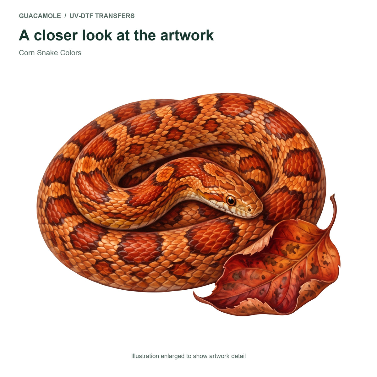Corn Snake Colors — Artwork detail