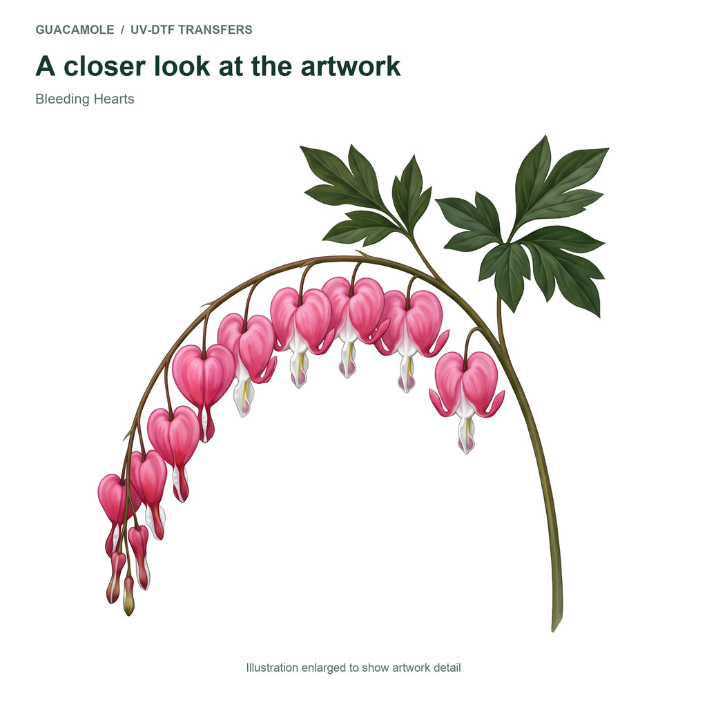 Bleeding Hearts — Artwork detail