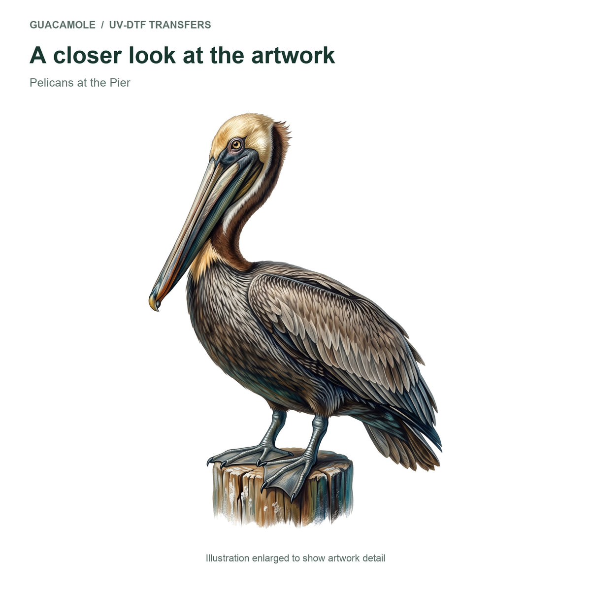 Pelicans at the Pier — Artwork detail