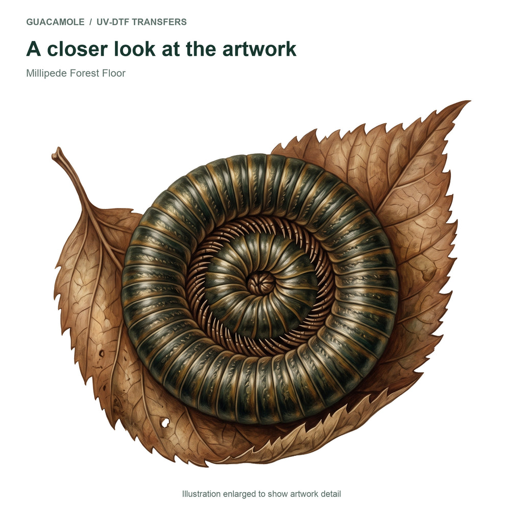 Millipede Forest Floor — Artwork detail