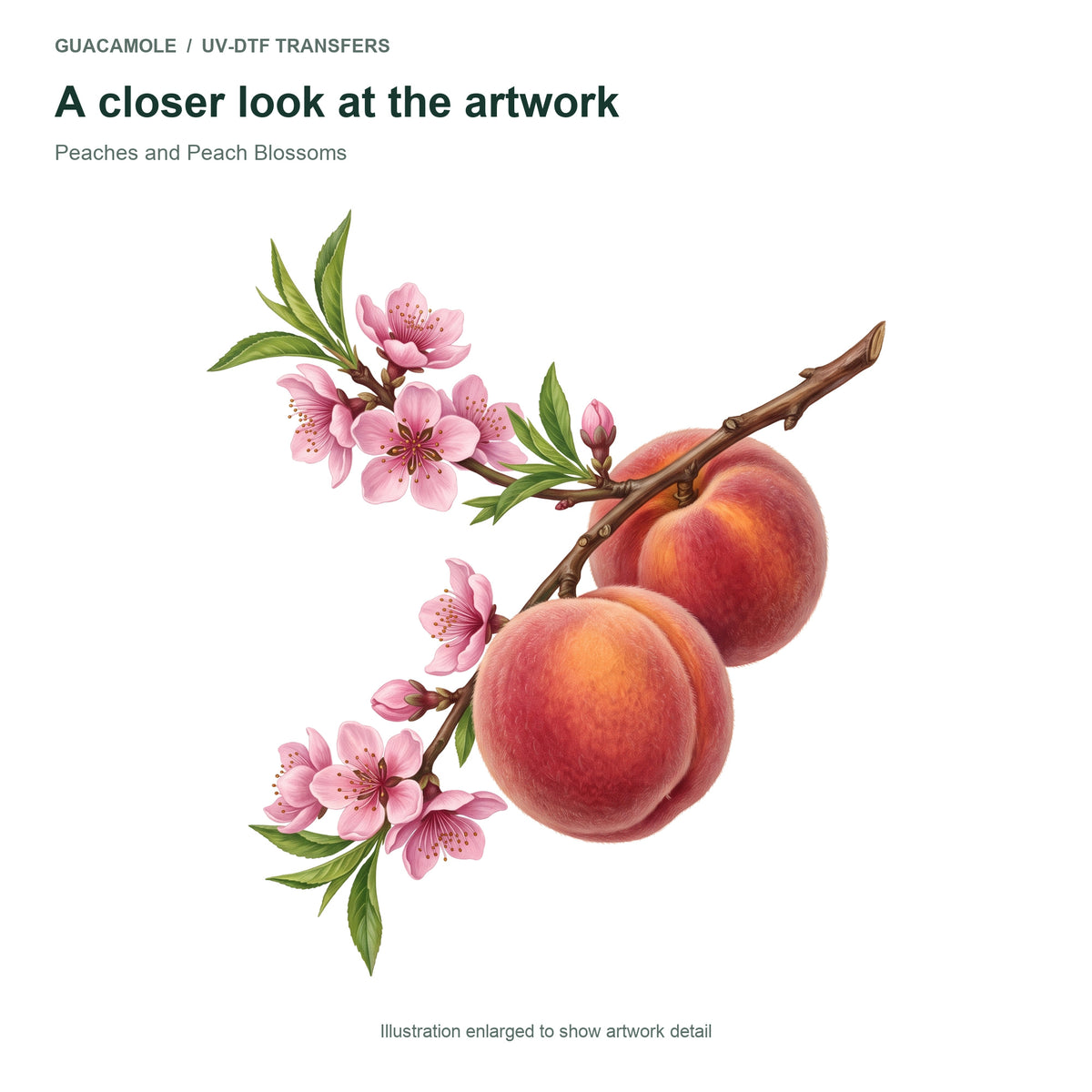Peaches and Peach Blossoms — Artwork detail