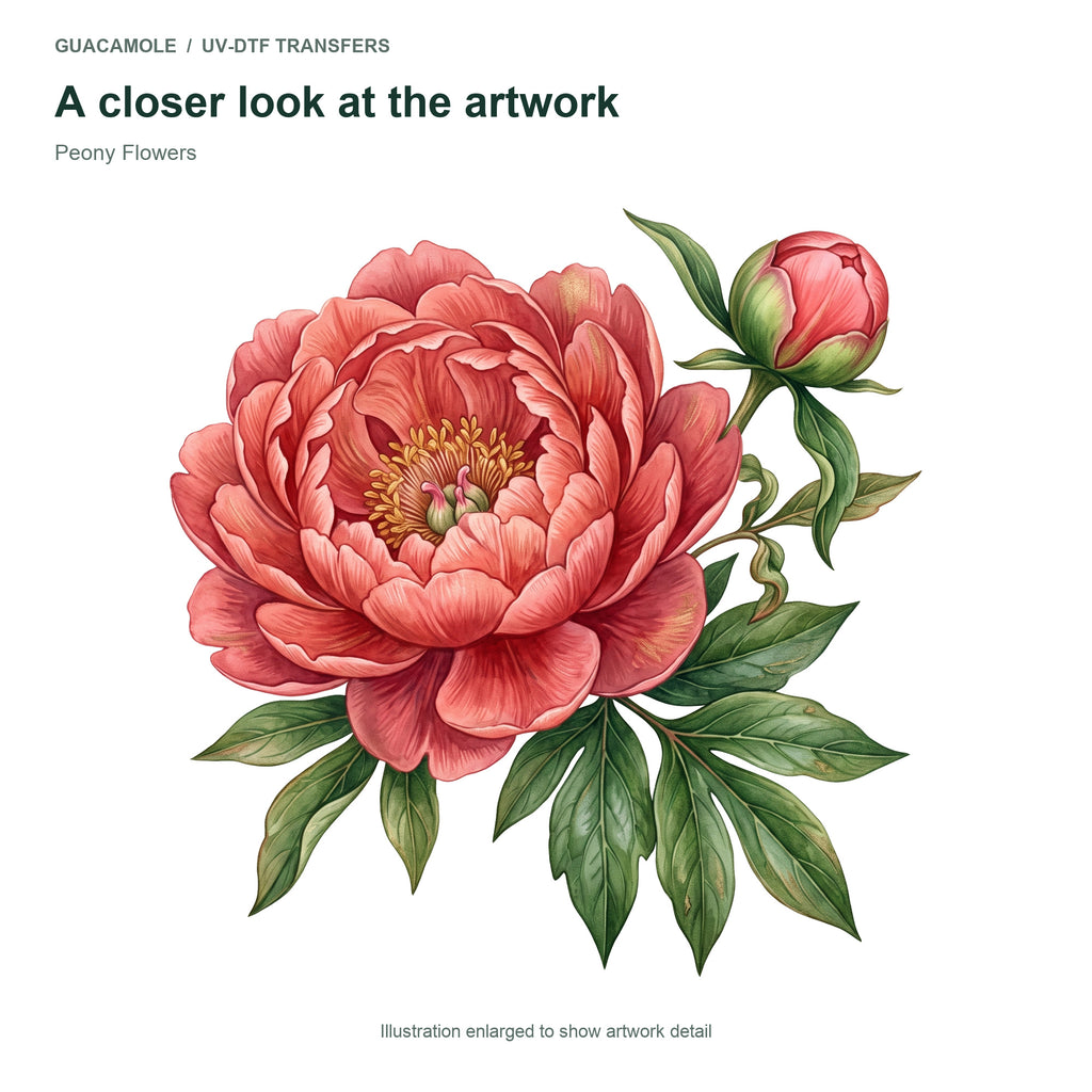 Peony Flowers — Artwork detail