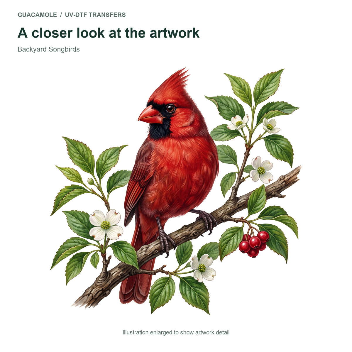 Backyard Songbirds — Artwork detail