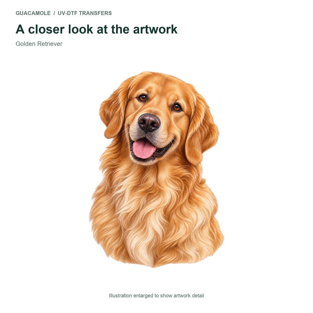 Golden Retriever — Artwork detail