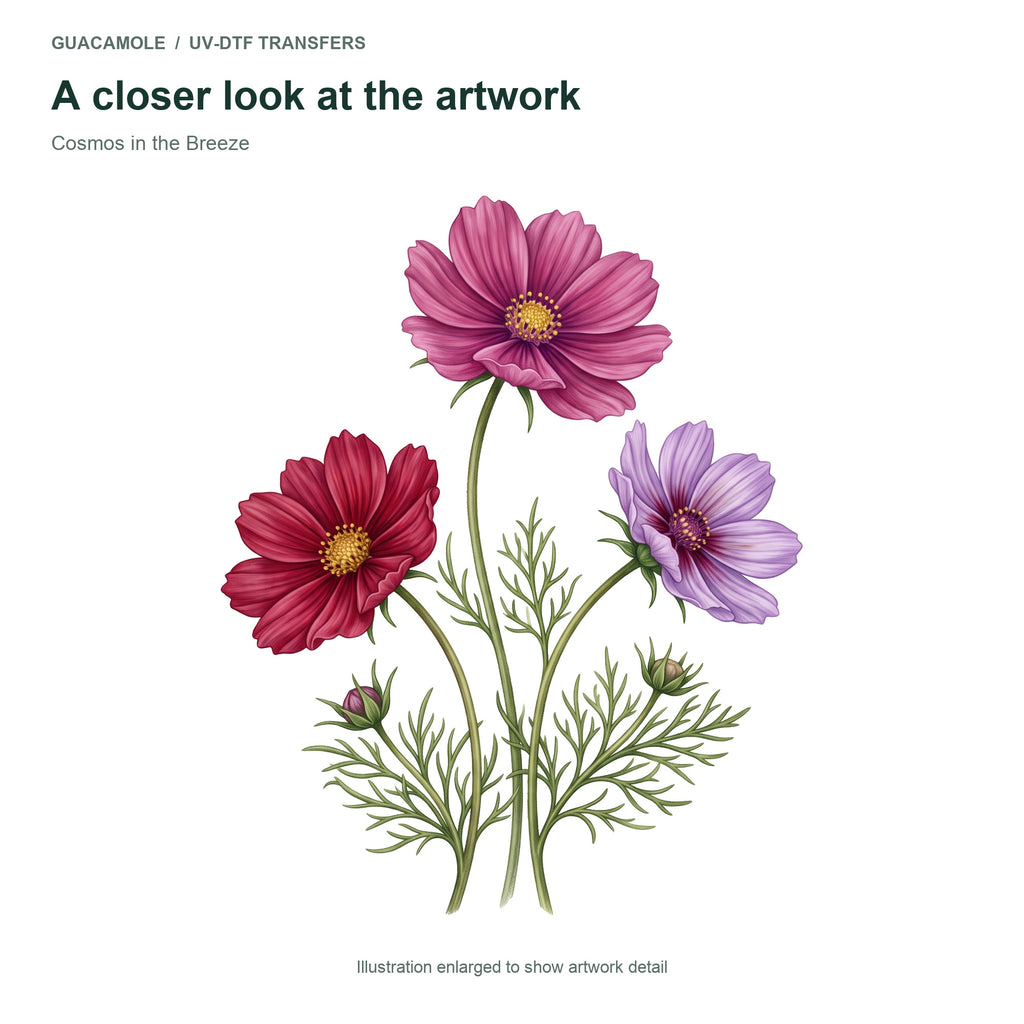 Cosmos in the Breeze — Artwork detail