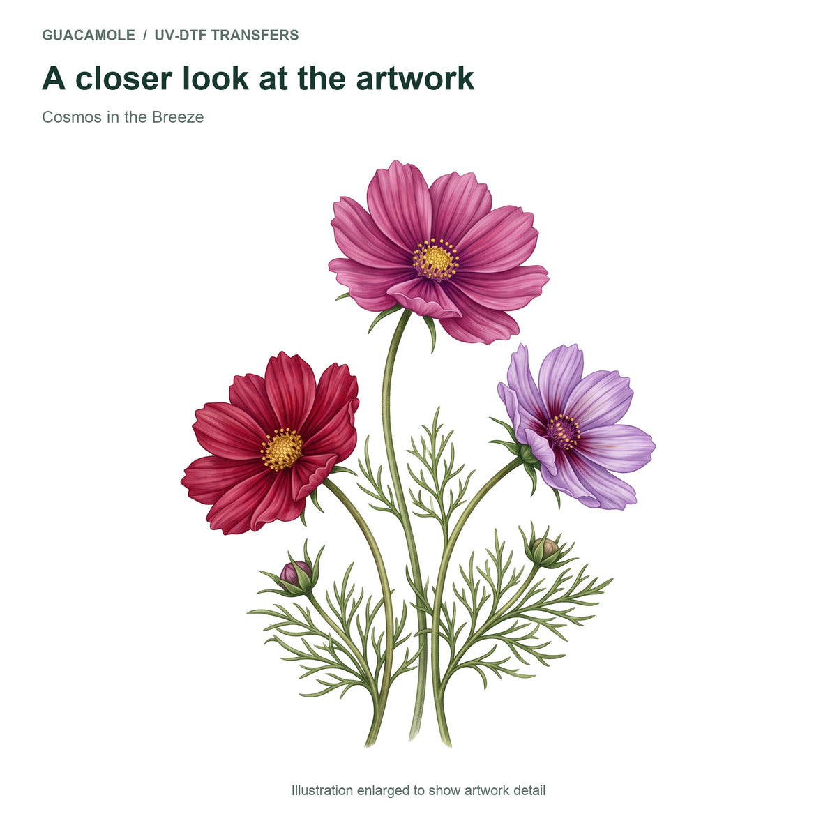 Cosmos in the Breeze — Artwork detail