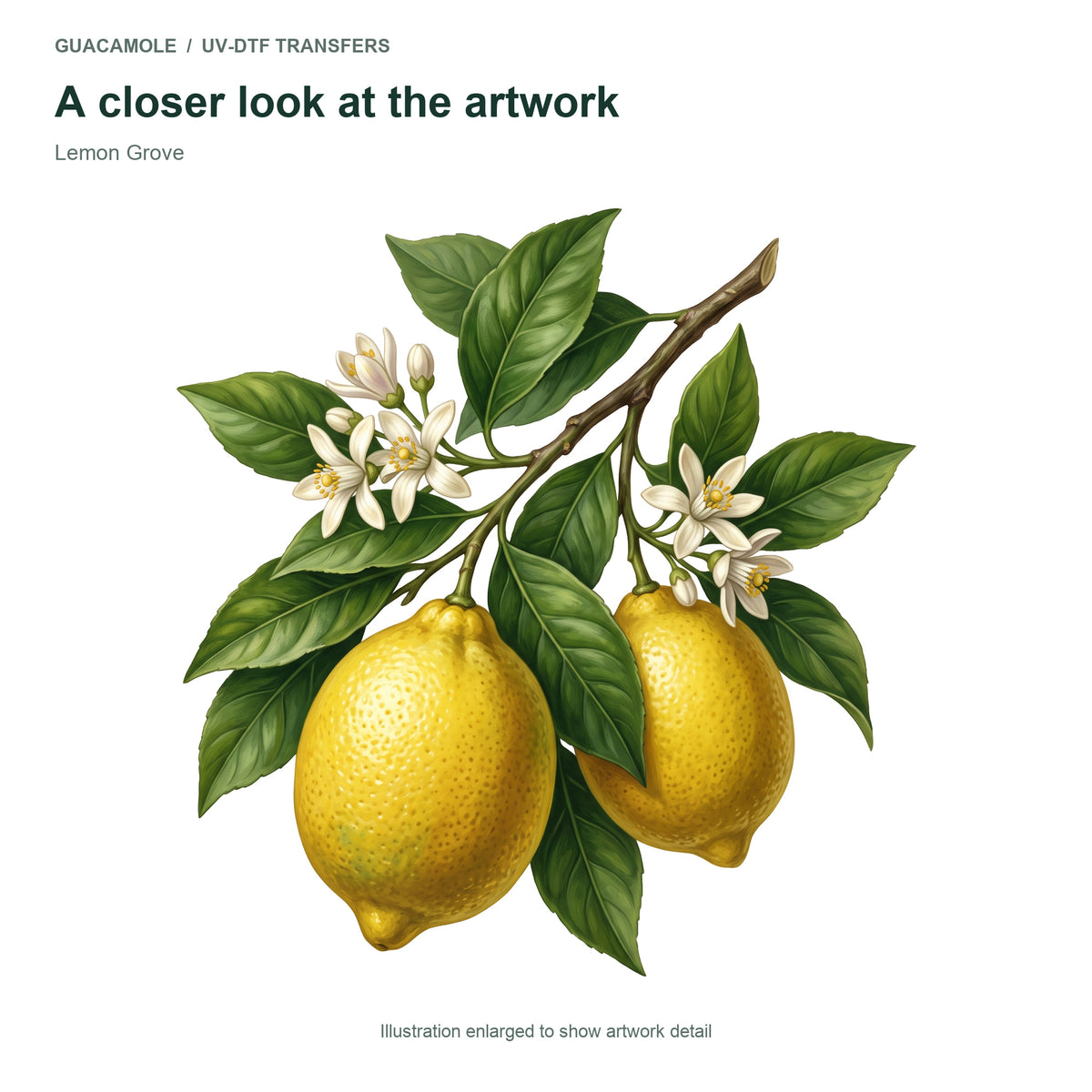Lemon Grove — Artwork detail