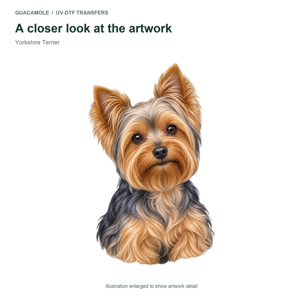 Yorkshire Terrier — Artwork detail