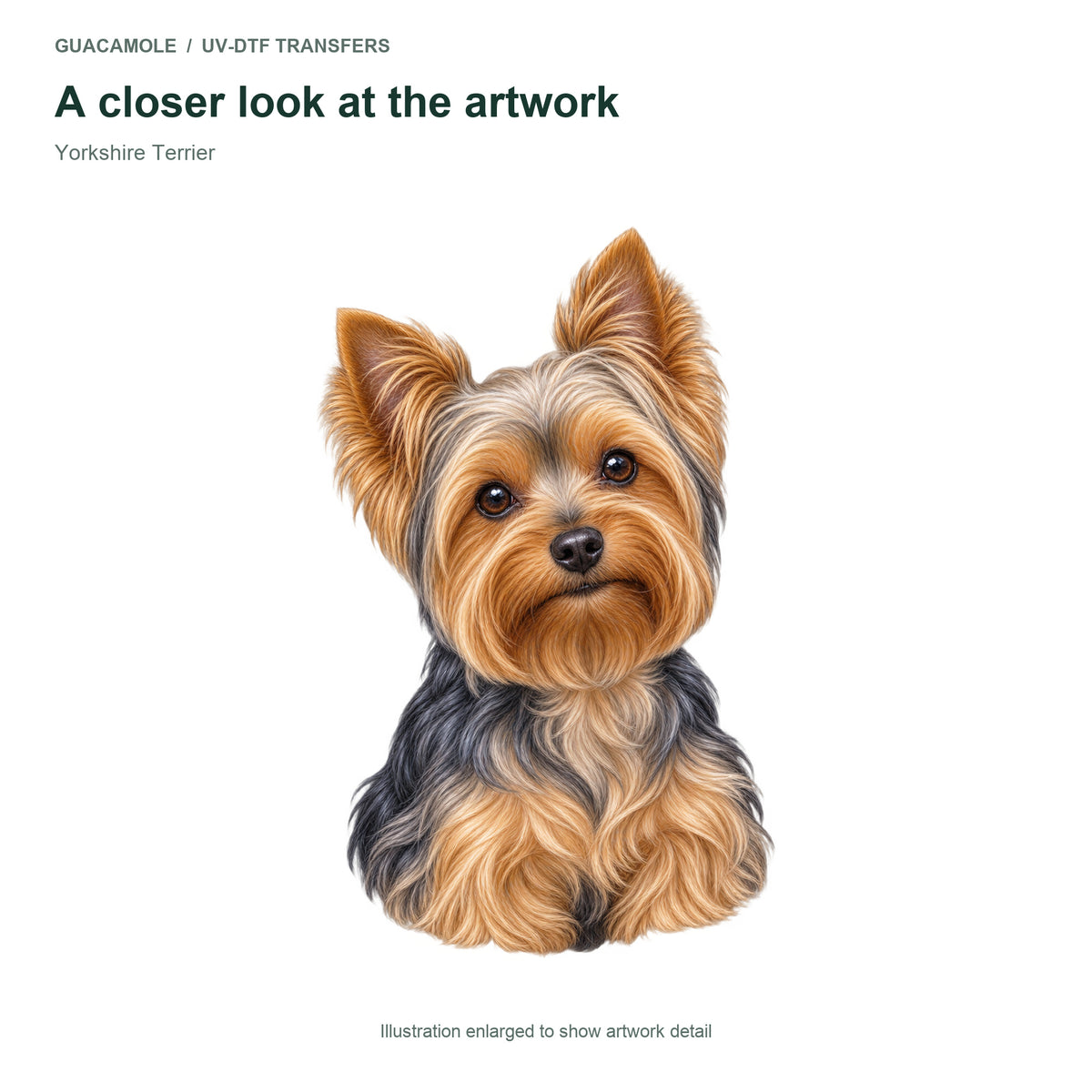 Yorkshire Terrier — Artwork detail