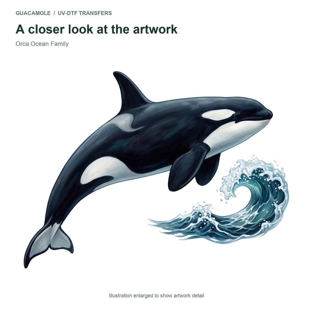 Orca Ocean Family — Artwork detail