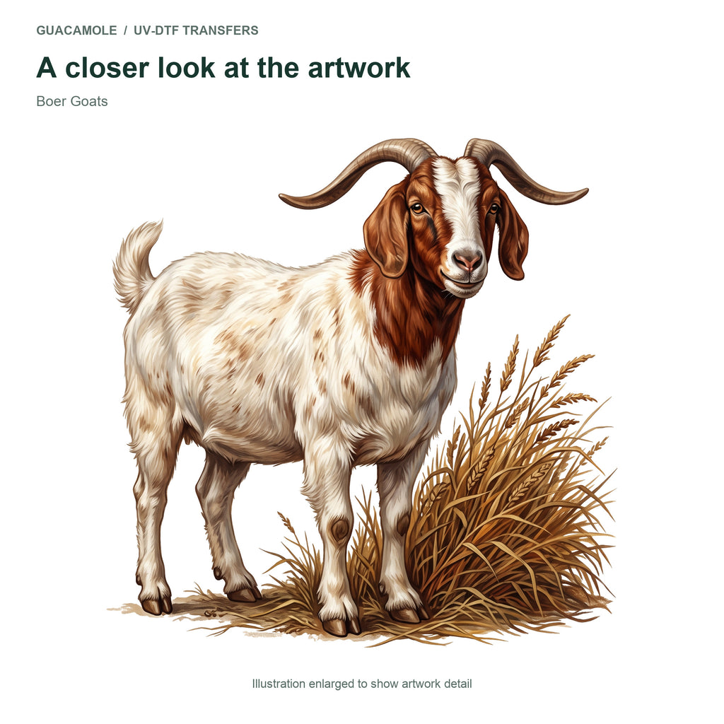 Boer Goats — Artwork detail
