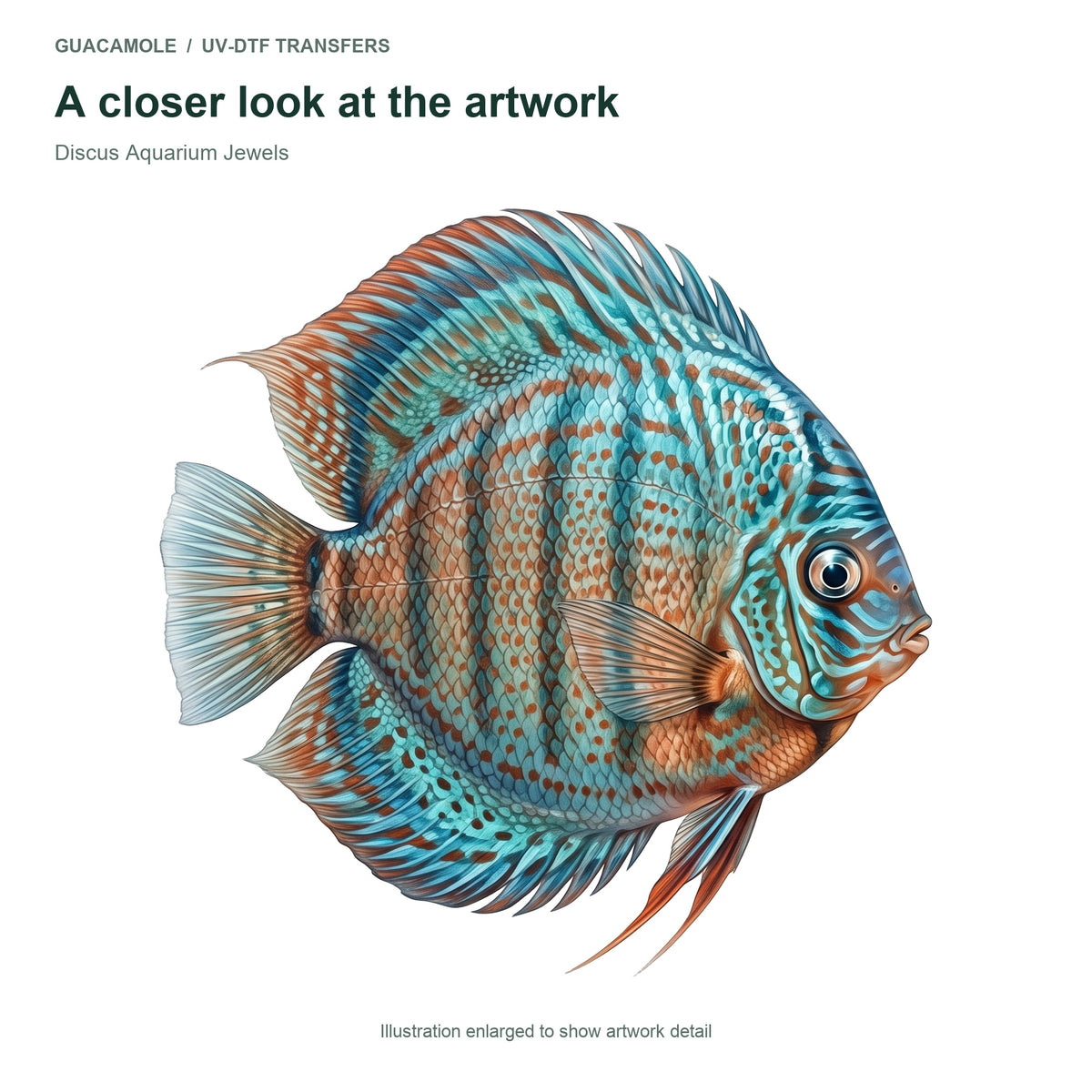 Discus Aquarium Jewels — Artwork detail