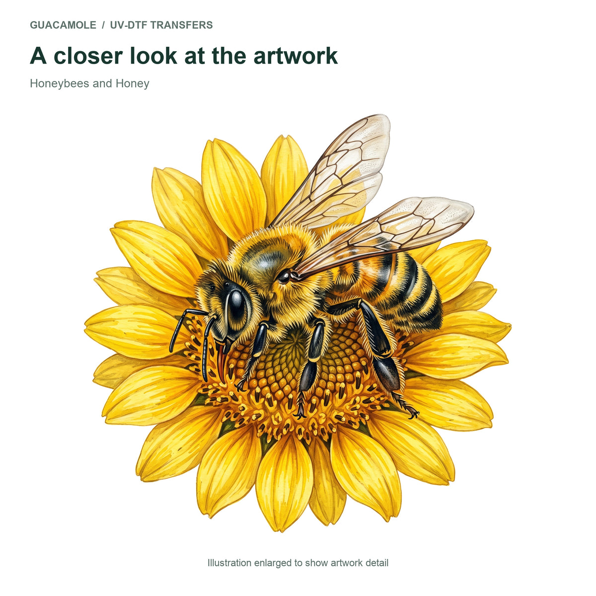 Honeybees and Honey — Artwork detail