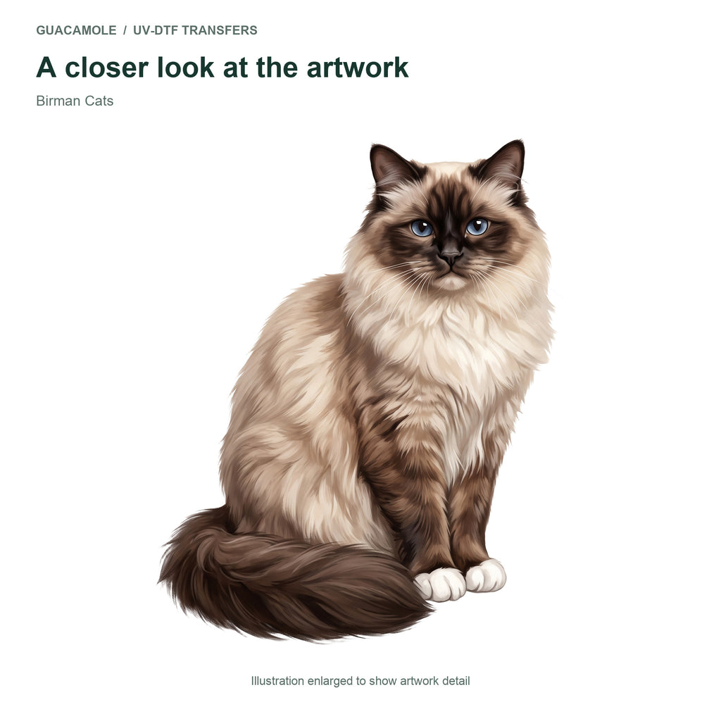 Birman Cats — Artwork detail