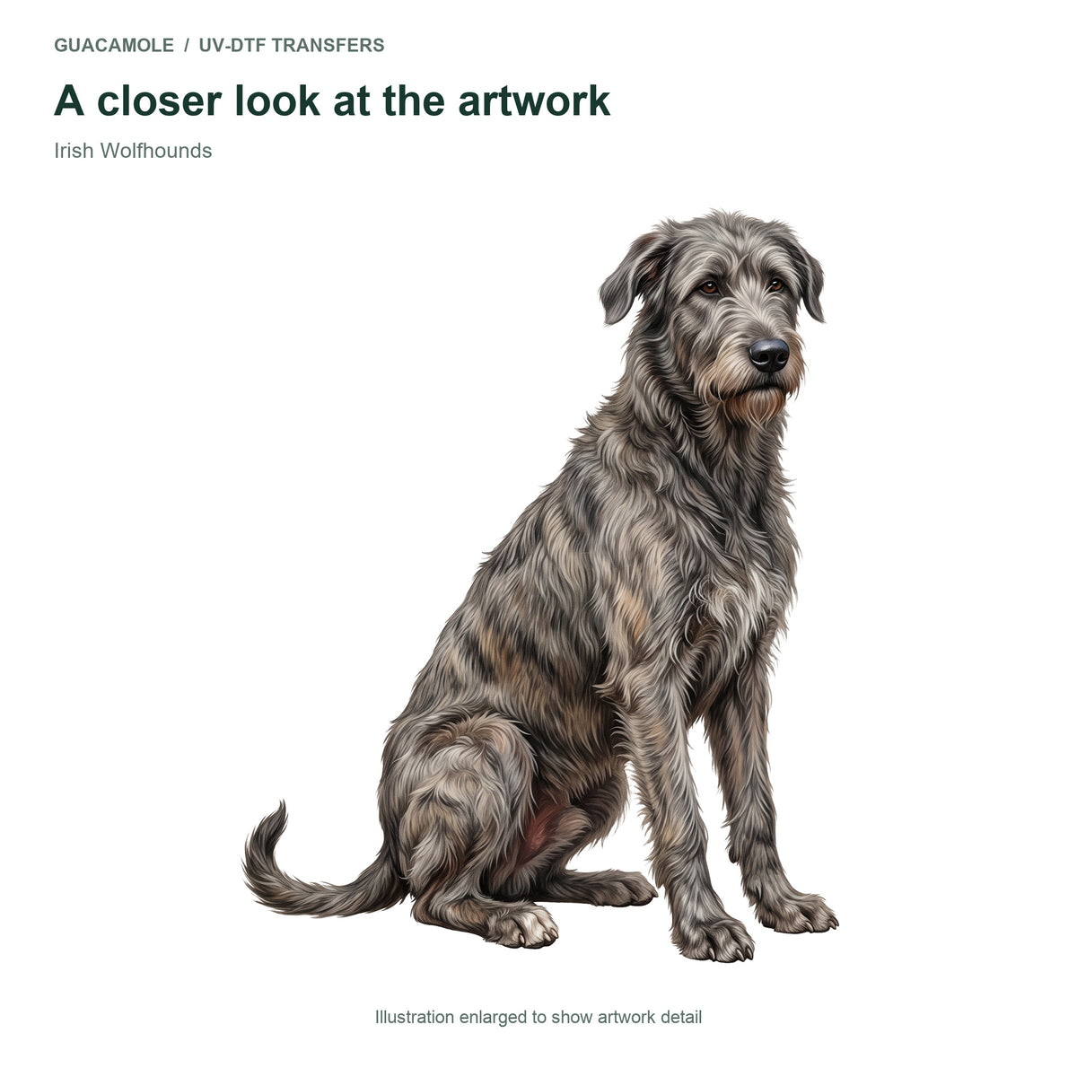 Irish Wolfhounds — Artwork detail