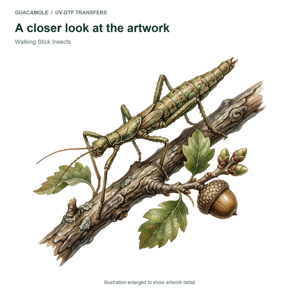 Walking Stick Insects — Artwork detail