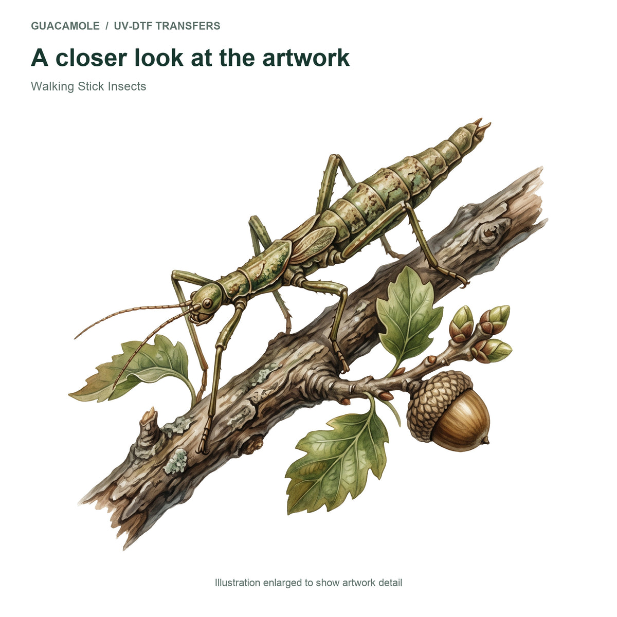 Walking Stick Insects — Artwork detail