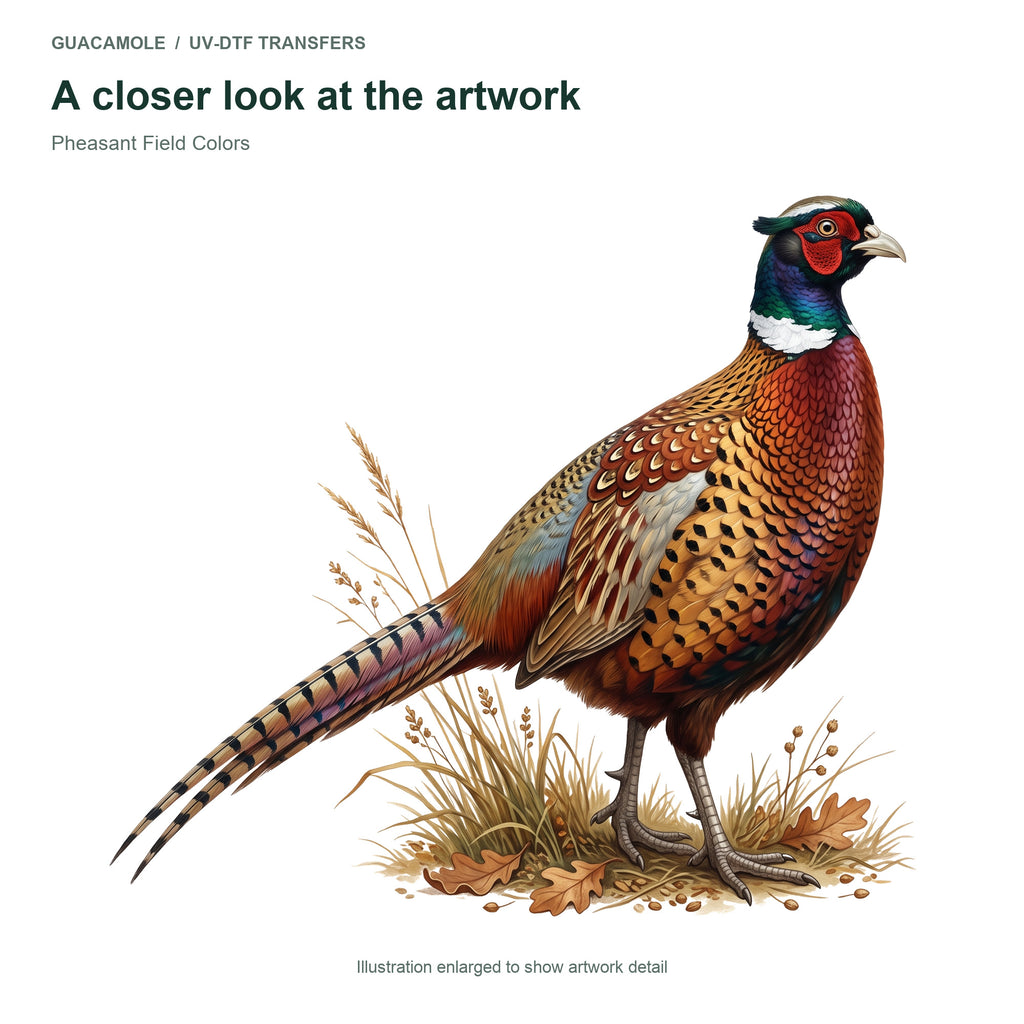 Pheasant Field Colors — Artwork detail