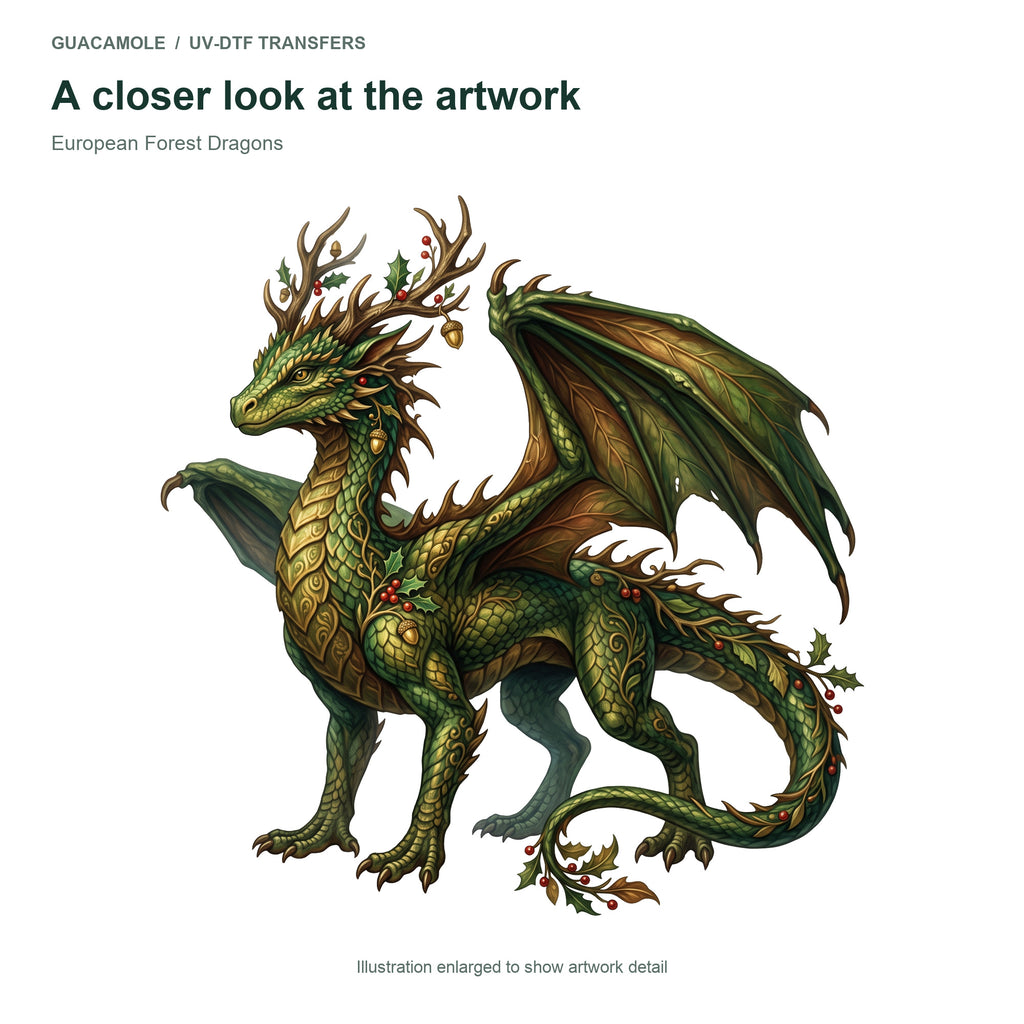 European Forest Dragons — Artwork detail