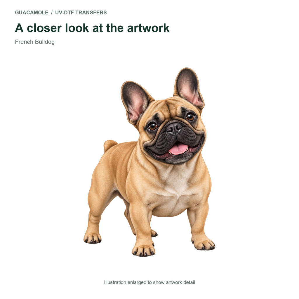 French Bulldog — Artwork detail