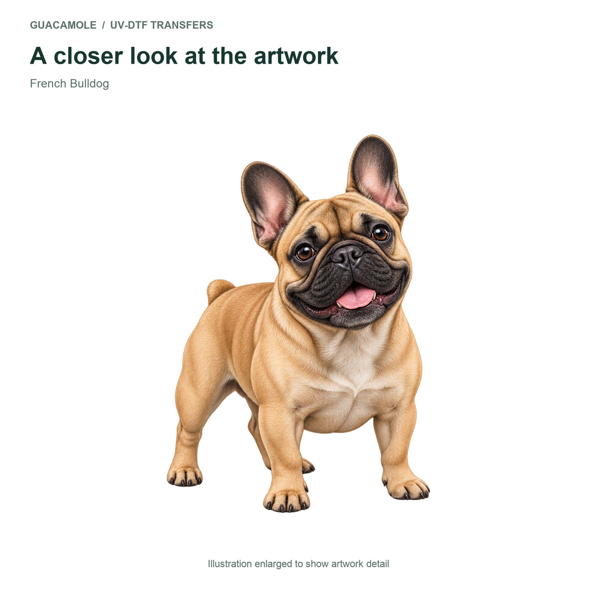 French Bulldog — Artwork detail