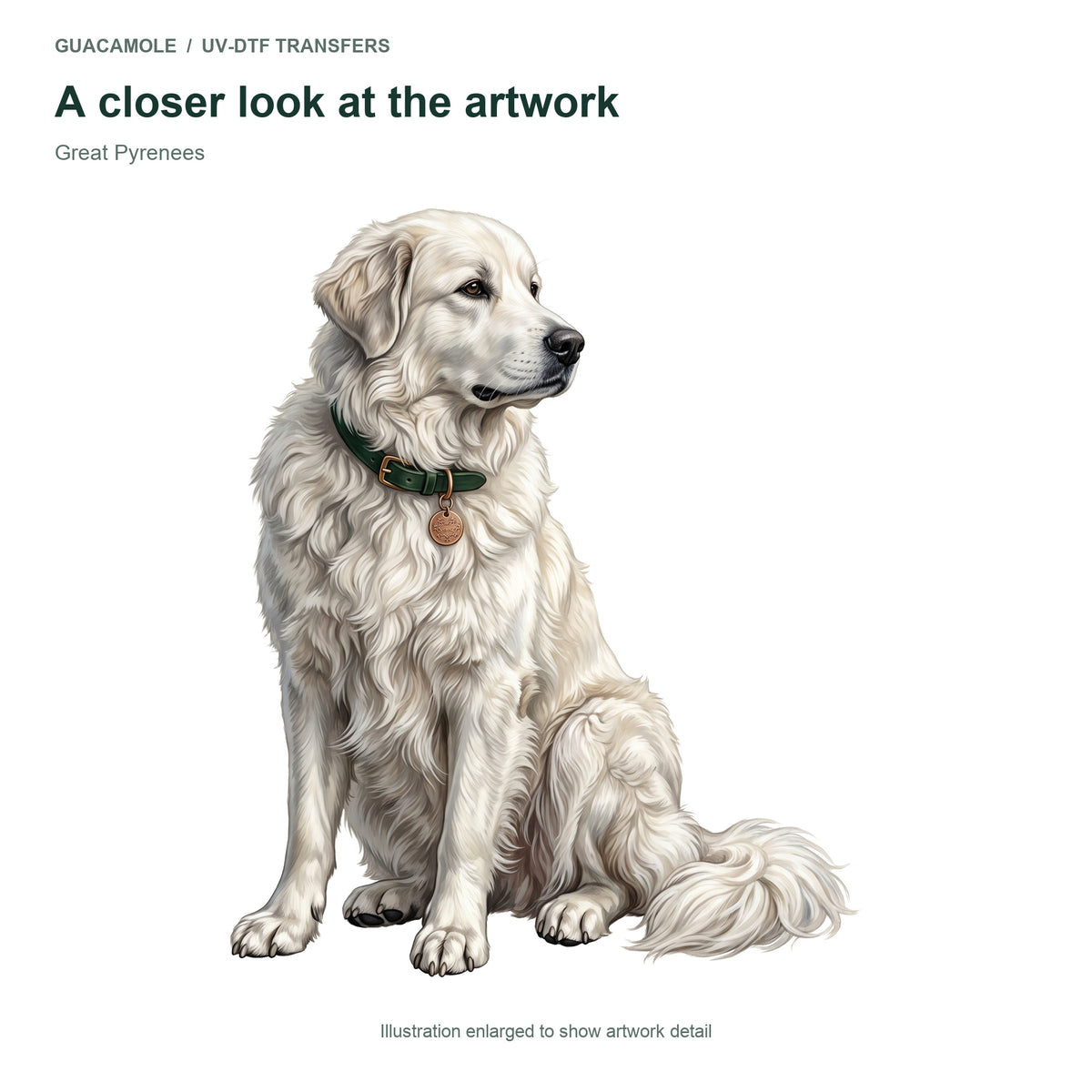 Great Pyrenees — Artwork detail