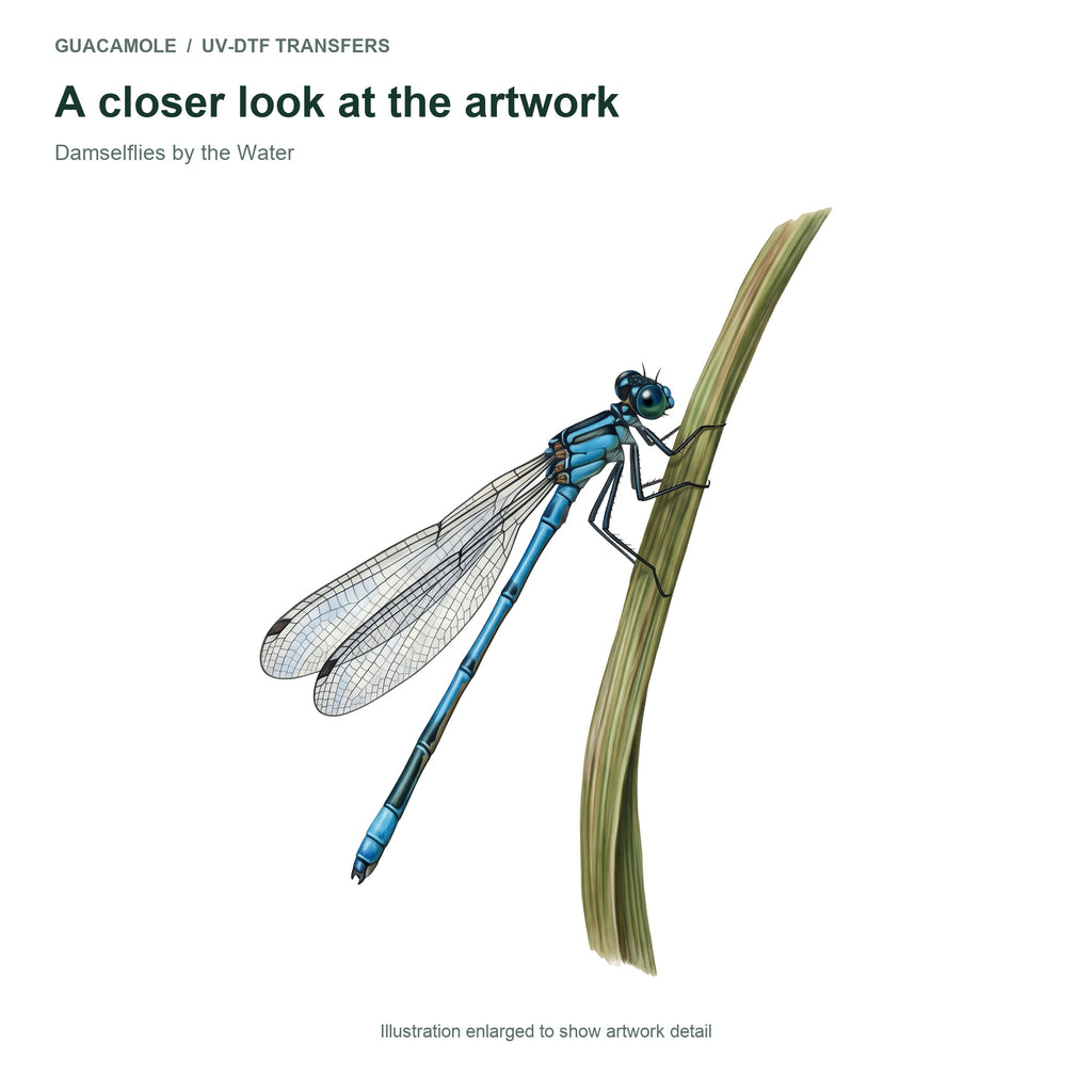 Damselflies by the Water — Artwork detail