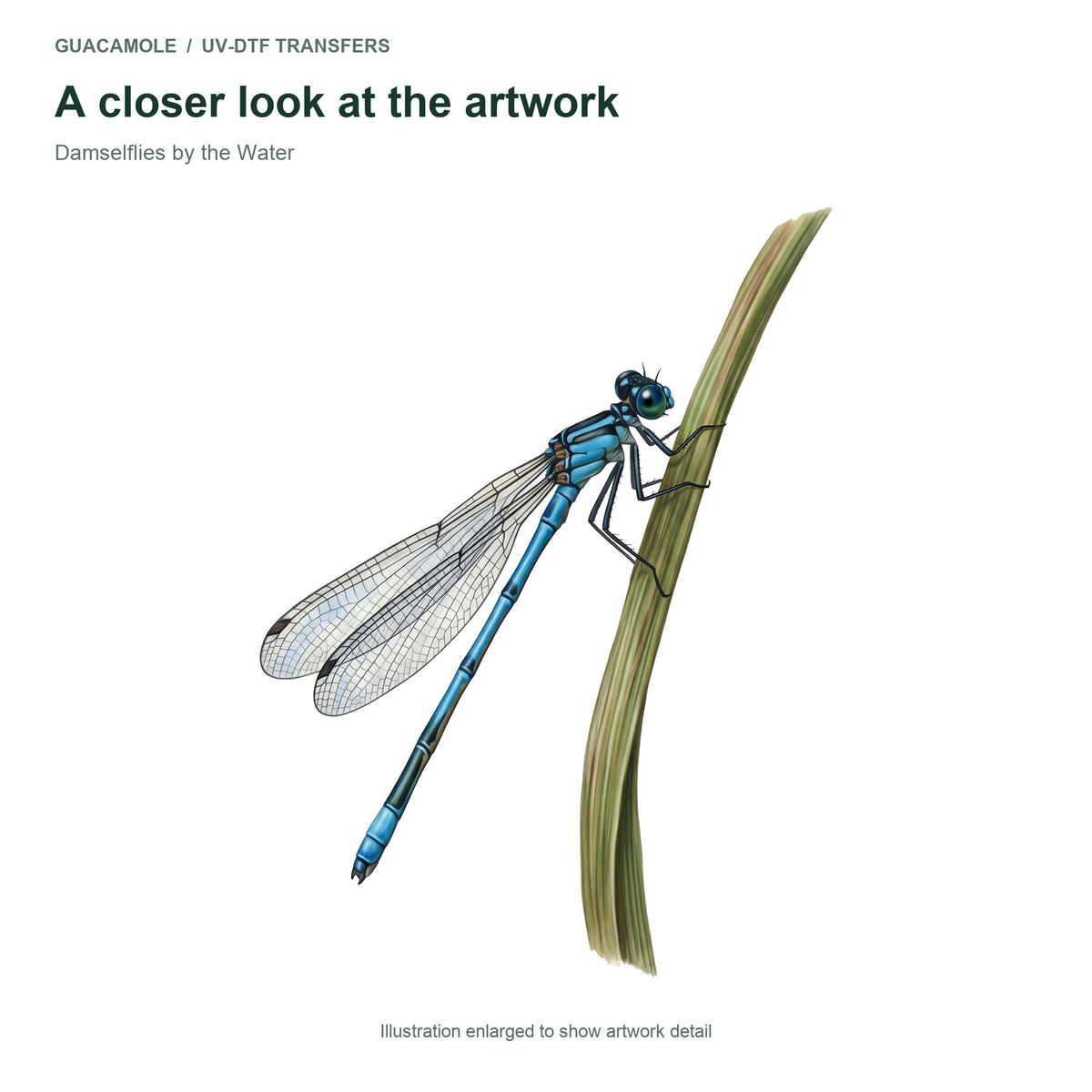 Damselflies by the Water — Artwork detail