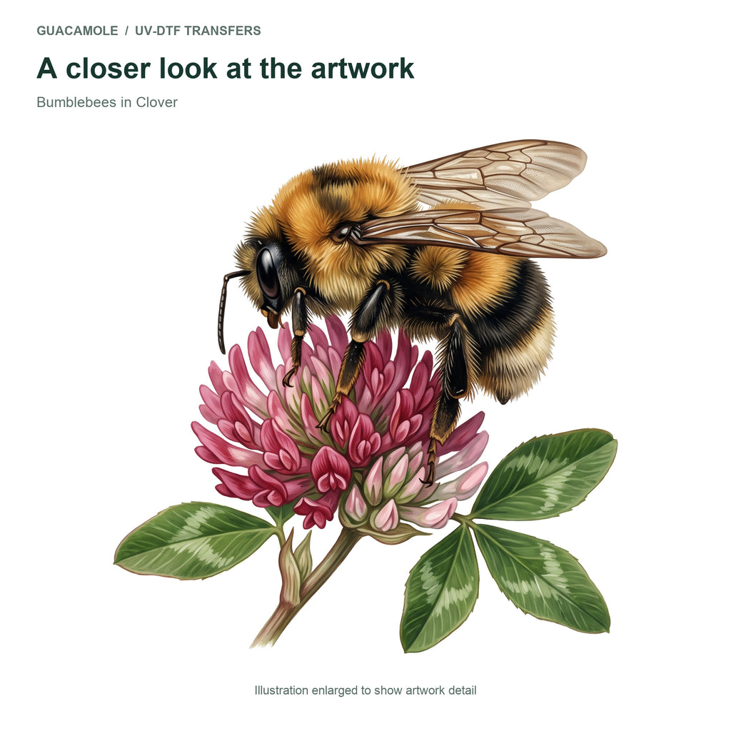 Bumblebees in Clover — Artwork detail