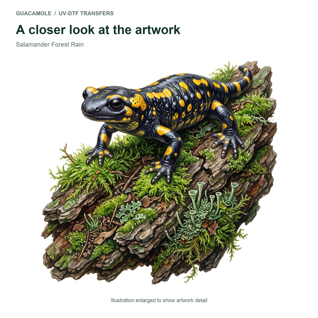 Salamander Forest Rain — Artwork detail