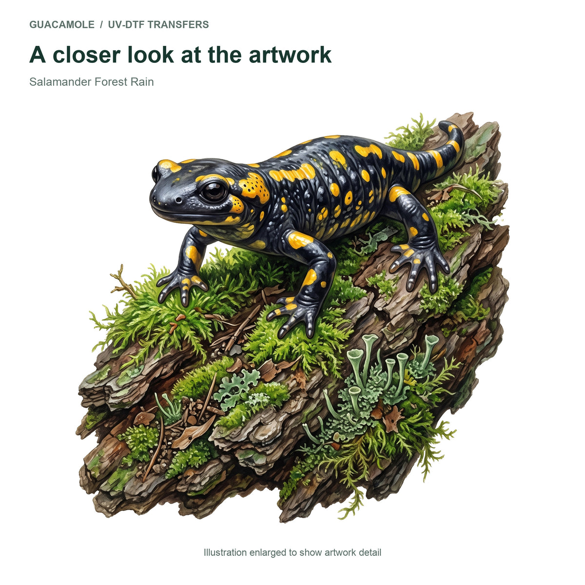 Salamander Forest Rain — Artwork detail