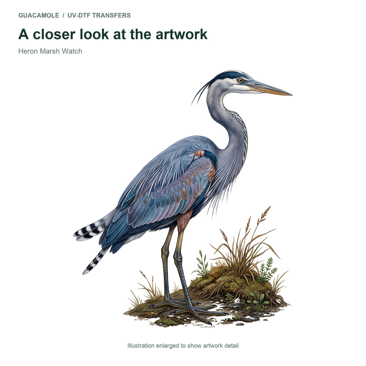 Heron Marsh Watch — Artwork detail
